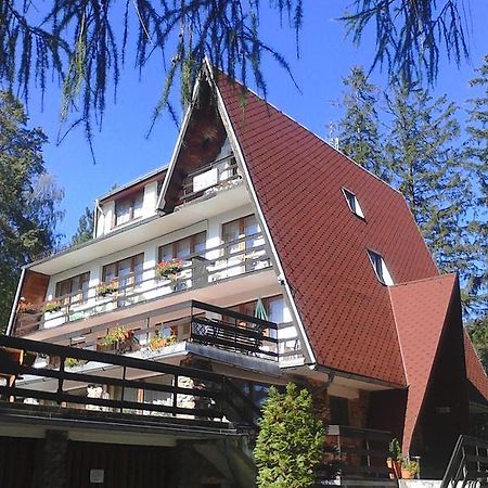 Willa Grafit Karpacz Exterior photo